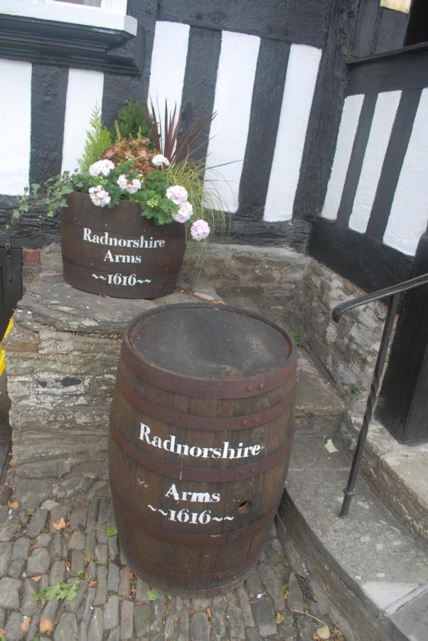 The Radnorshire Arms Hotel Presteigne Dış mekan fotoğraf